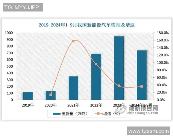 亚马尔地区的能源战略与全球市场的深度互动分析 亚马尔地区的能源战略与全球市场的深度互动分析