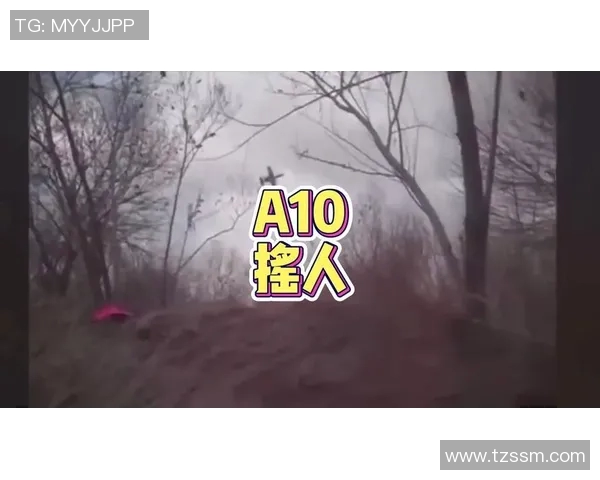 2008年NBA季后赛魔术与骑士对决回顾精彩瞬间与战术分析