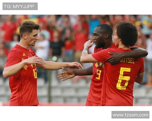 比利时与埃及精彩对决全场录像回放及精彩瞬间分析