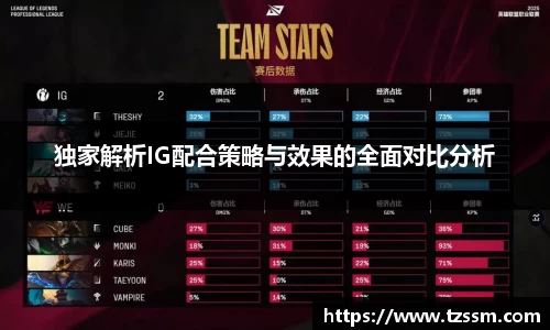 独家解析IG配合策略与效果的全面对比分析