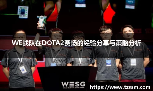zoty中欧