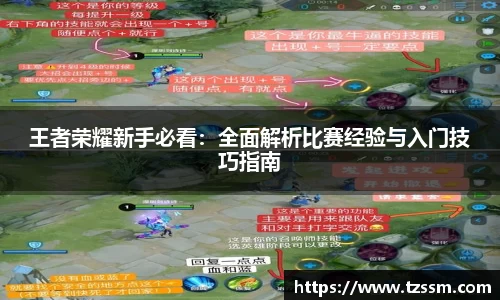 中欧体育