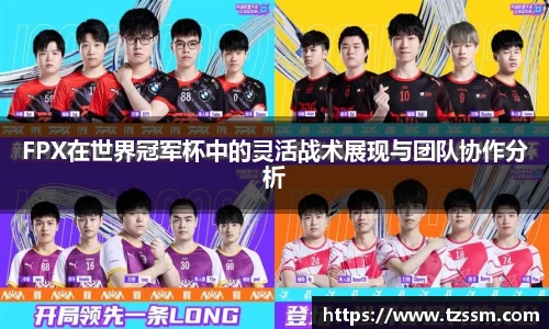 zoty中欧