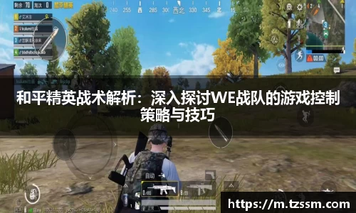 zoty中欧