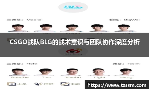 中欧体育平台