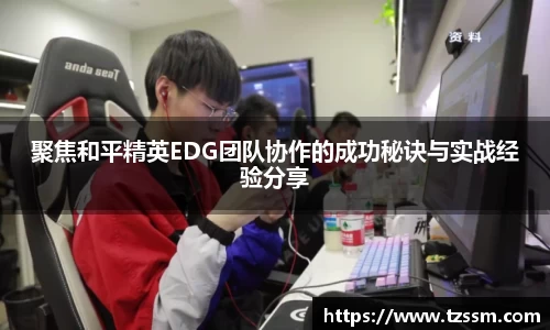 zoty中欧