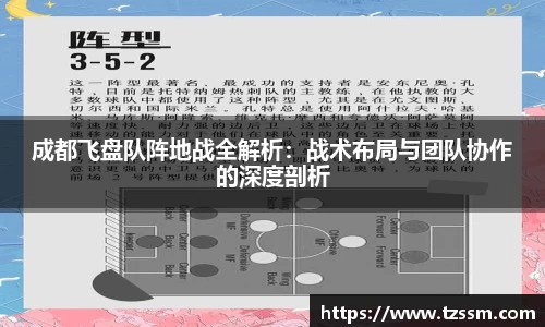 zoty中欧
