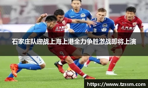 中欧体育