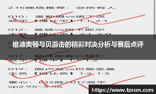 zoty中欧