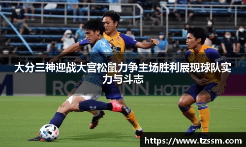 中欧体育平台