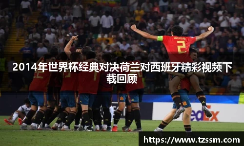 zoty中欧