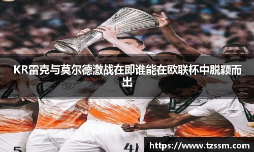 中欧体育平台