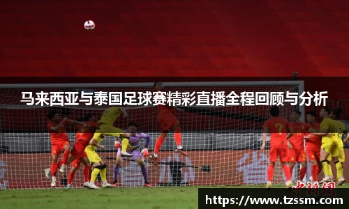zoty中欧