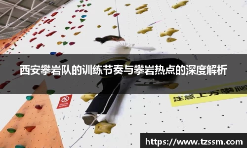 中欧体育
