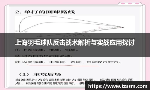 zoty中欧